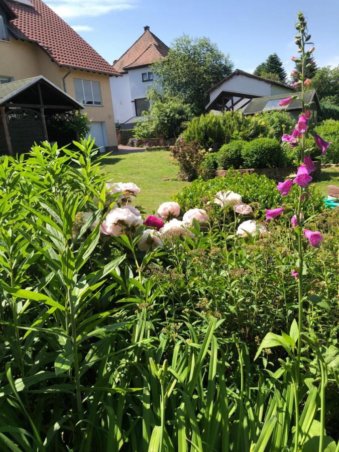 Gemuetliches Apartment Garden View Ramstein-Miesenbach Exterior photo