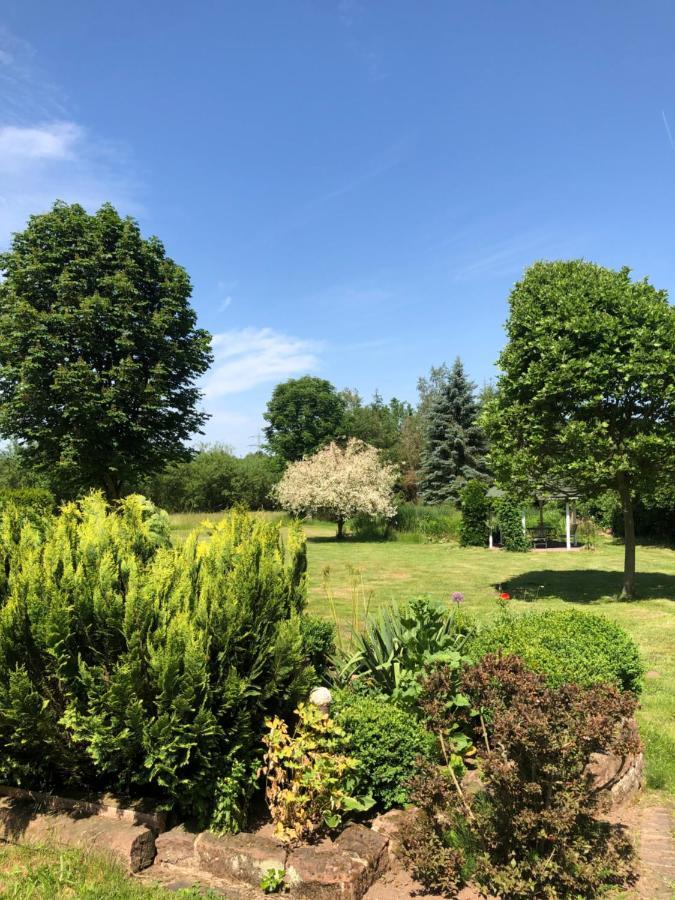 Gemuetliches Apartment Garden View Ramstein-Miesenbach Exterior photo
